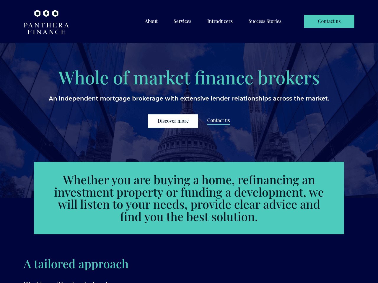 Panthera Finance website preview