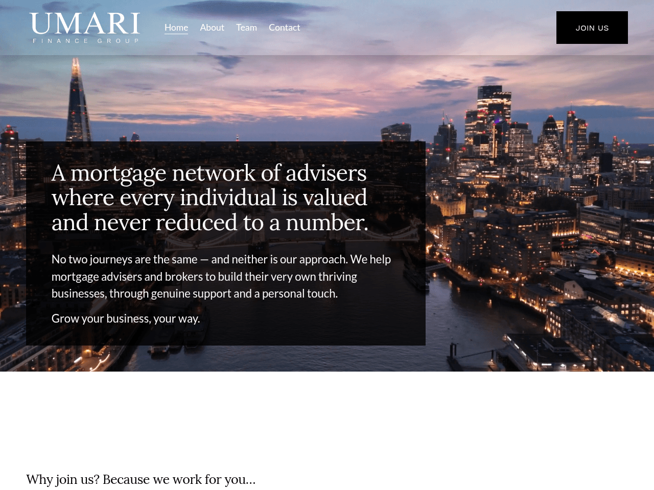 UMARI Finance Group website preview