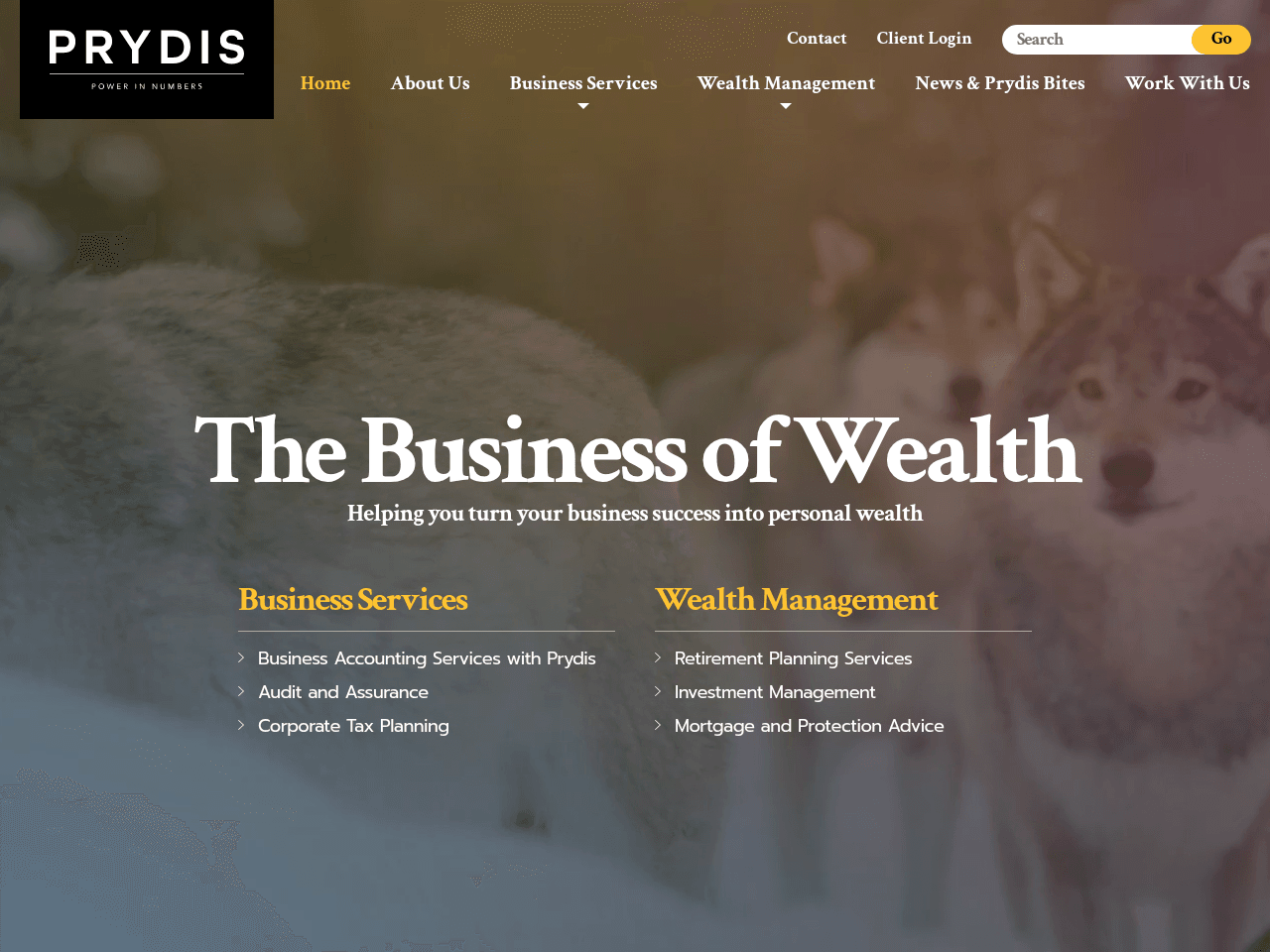 Prydis website preview