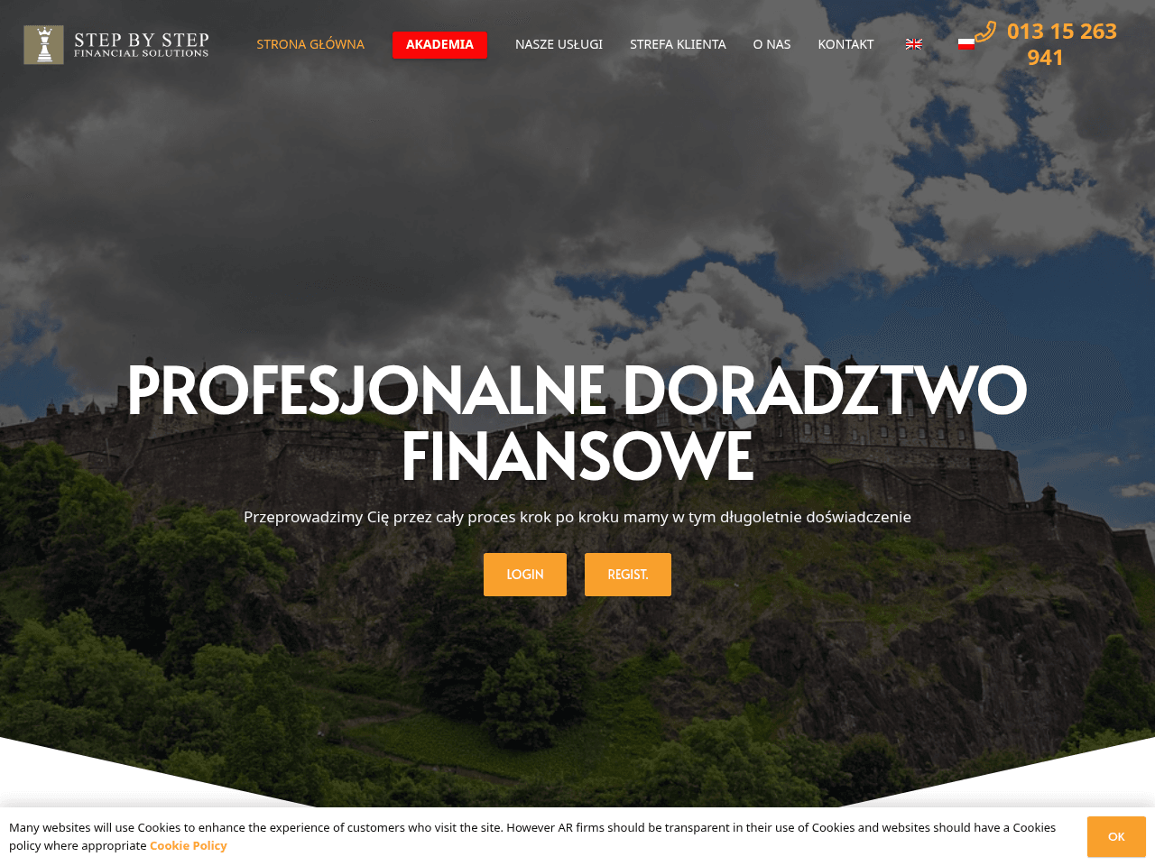 Step By Step Financial Solutions website preview