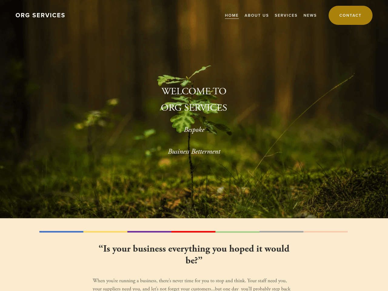 Org Services website preview
