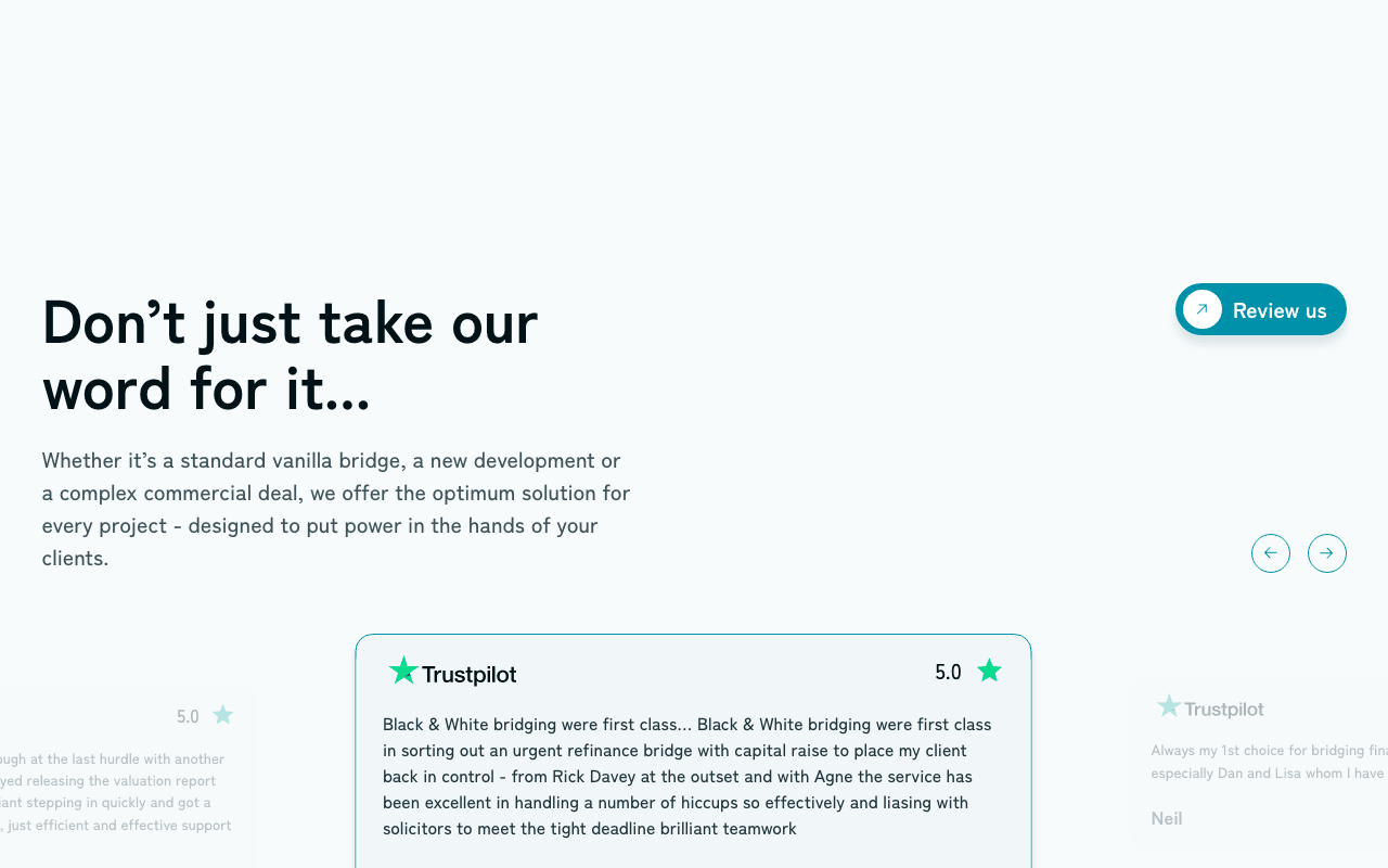Black & White Bridging website preview