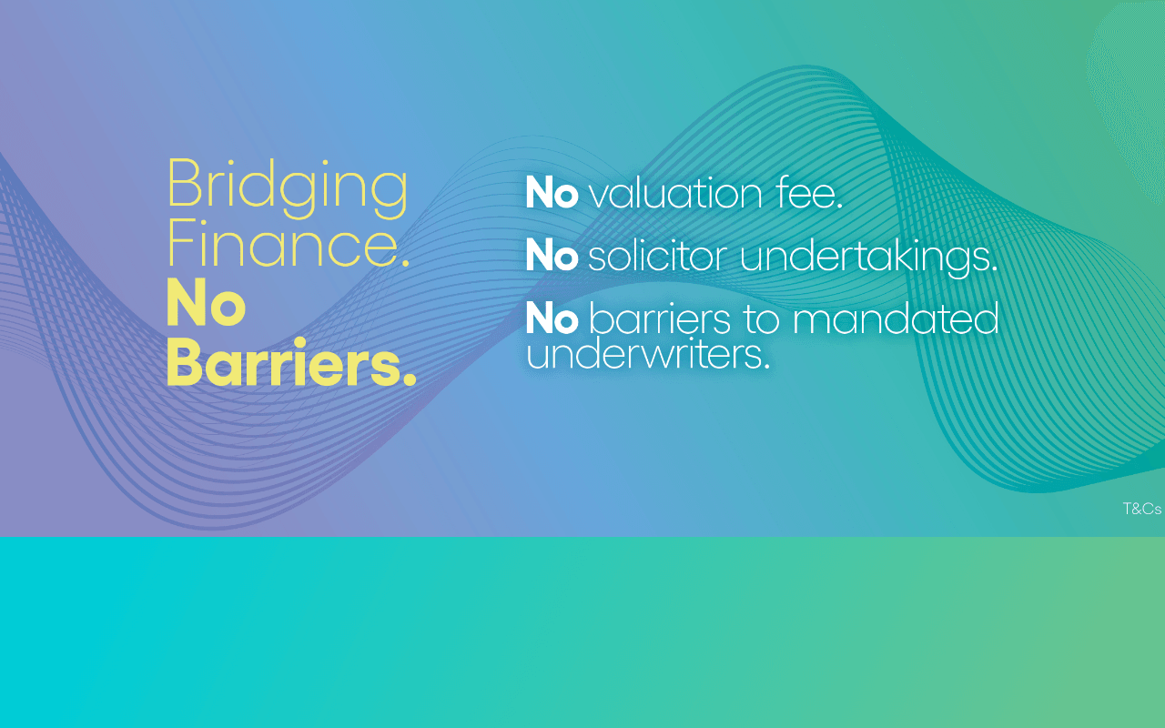 Mint Property Finance website preview