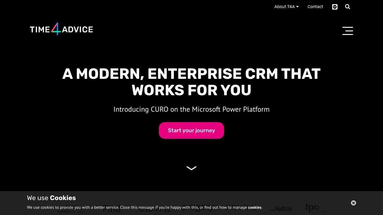 Time4Advice website preview