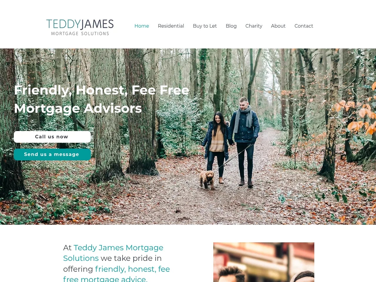 Teddy James Mortgage Solutions website preview