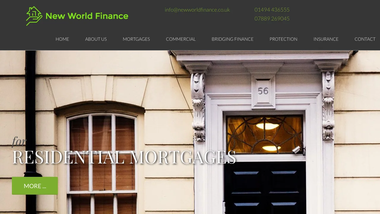 New World Finance website preview